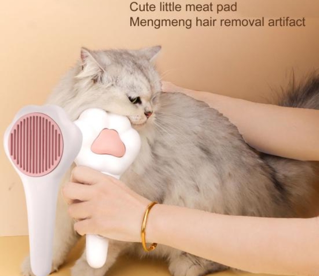 27badeaabd4335253691569c9dfc1d9b6004e617_original