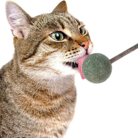 71bzN+JLyHL._AC_SL1500_