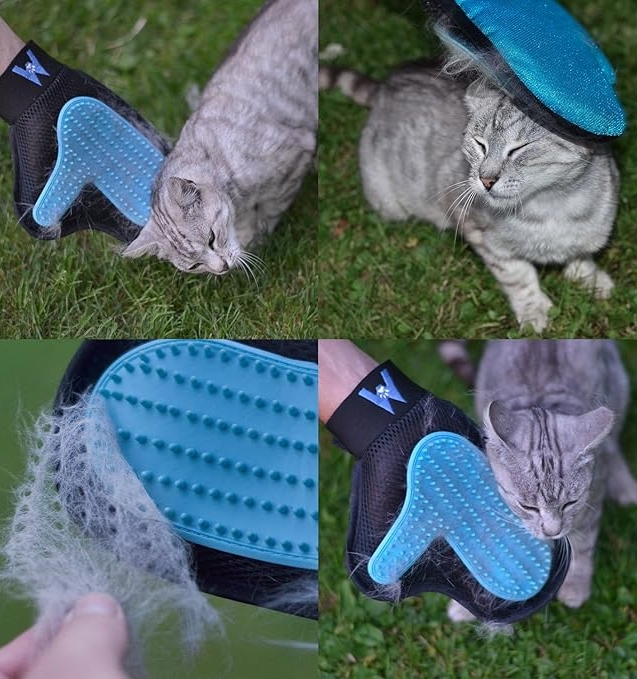 81oa-k3-tuL._AC_SX679_